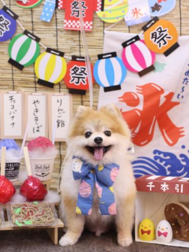 20240713モコくん